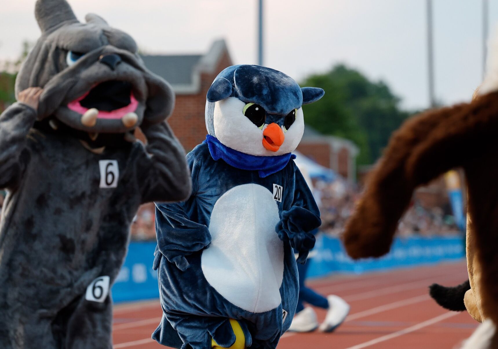 Festival of Miles